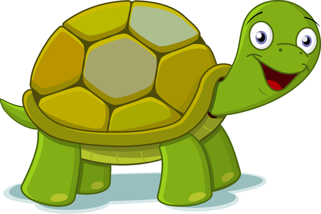 turtle clipart
