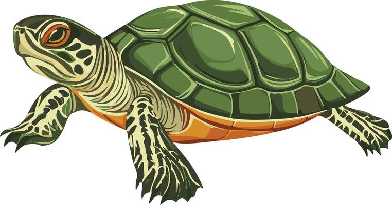 turtle clipart