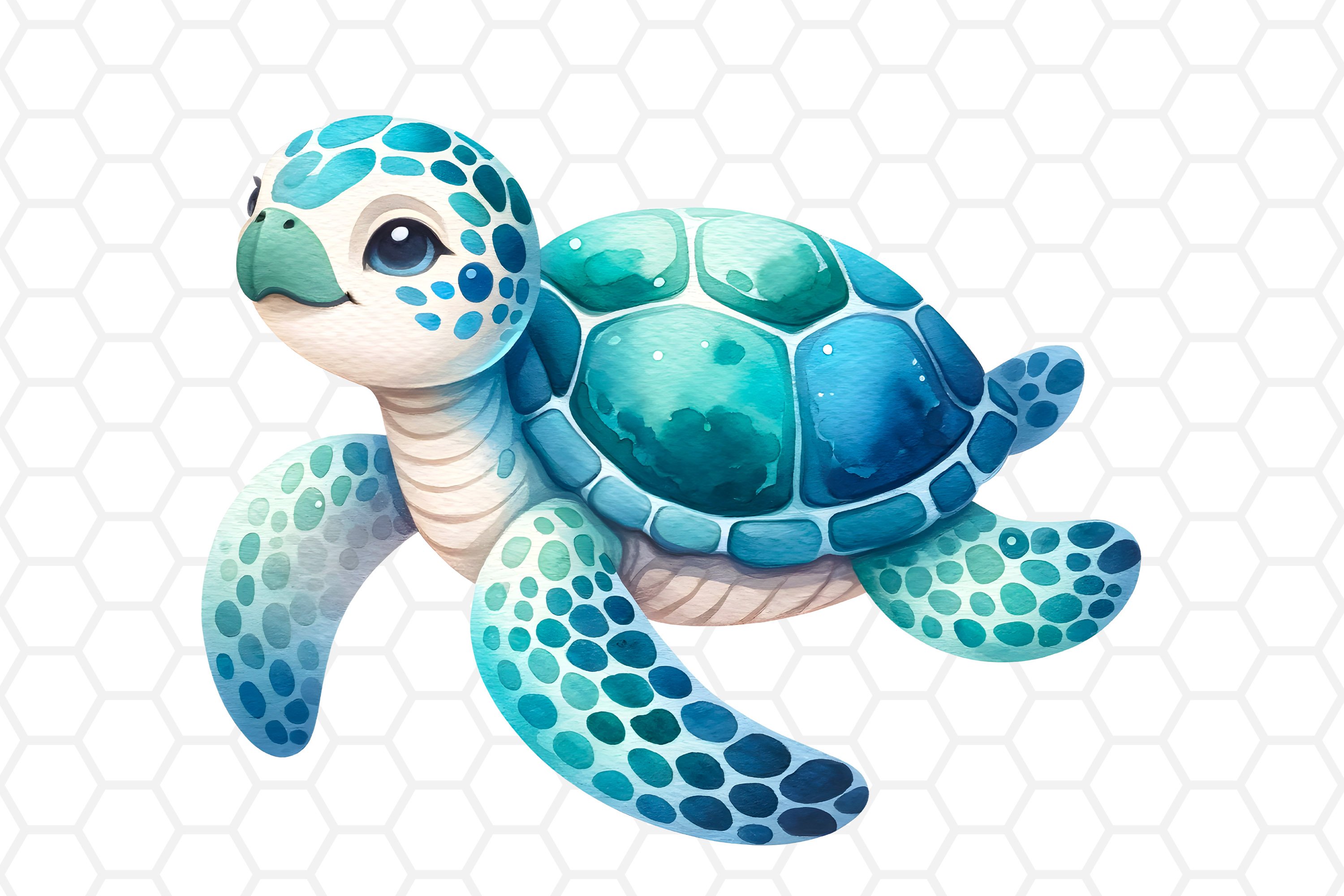 turtle clipart