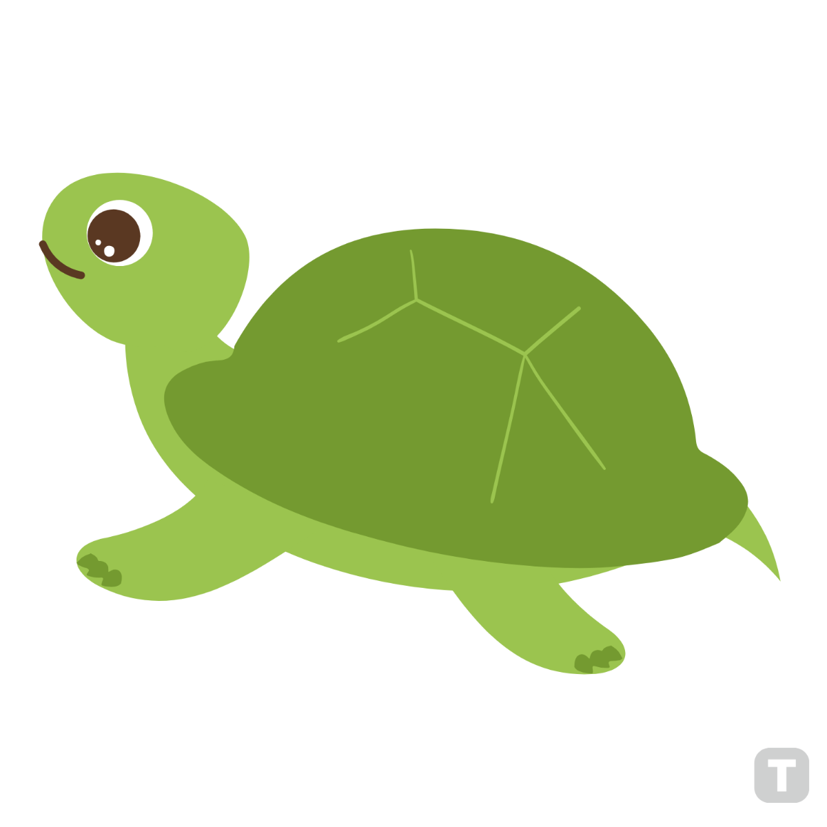turtle clipart