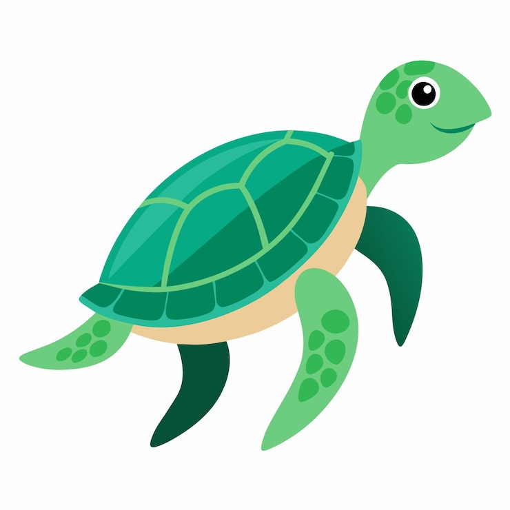 turtle clipart