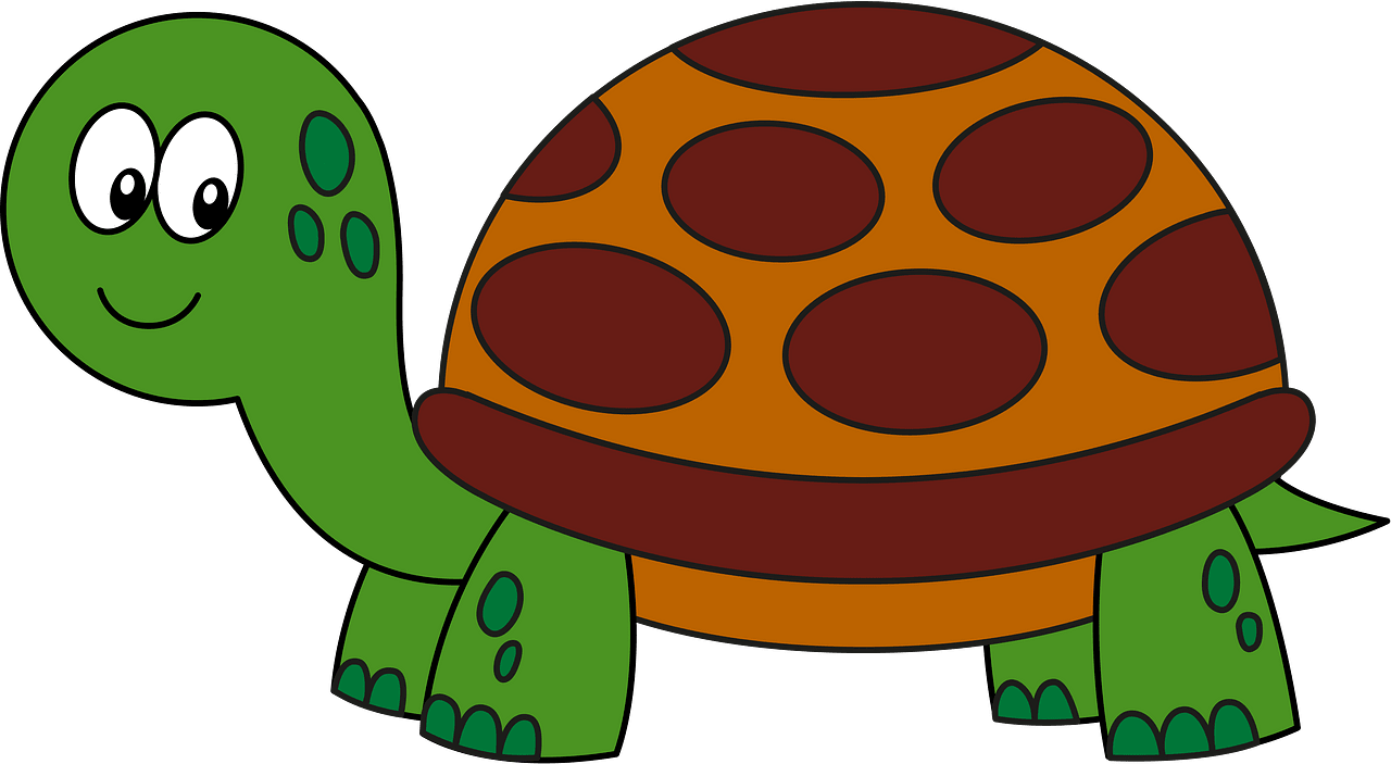 turtle clipart