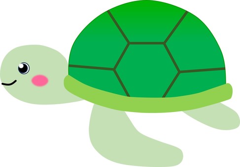 turtle clipart