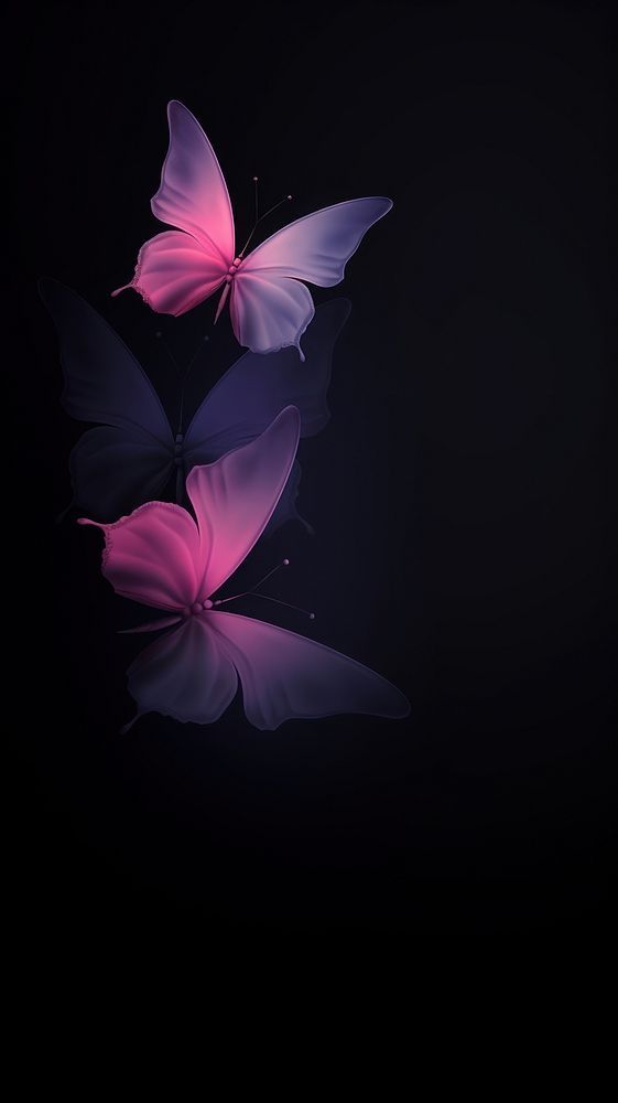 Startling colors butterfly wallpaper 2086 wallpapers