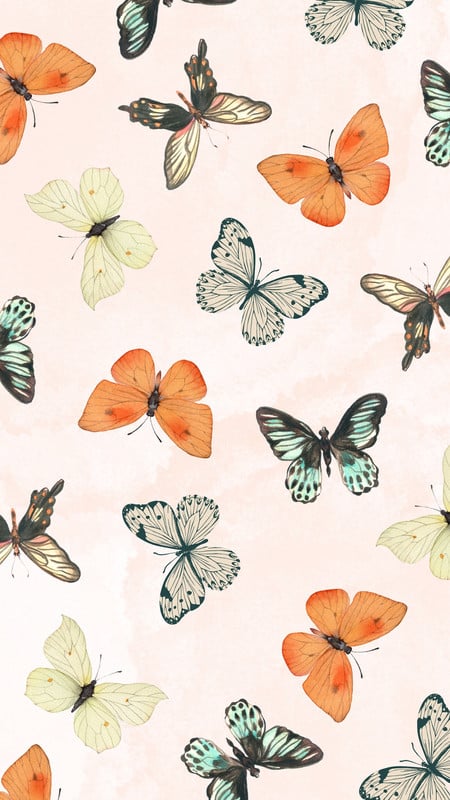Wild with joy 2100 butterfly wallpaper wallpapers with 0 downloads and 0 views