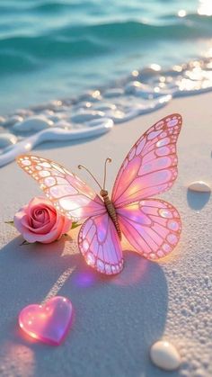 Chic dark butterfly wallpaper wallpapers 2184