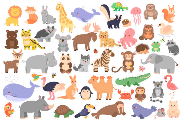 animals clipart