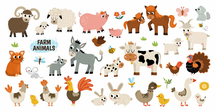 animals clipart