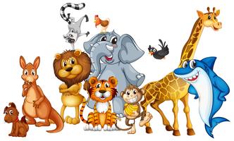 animals clipart