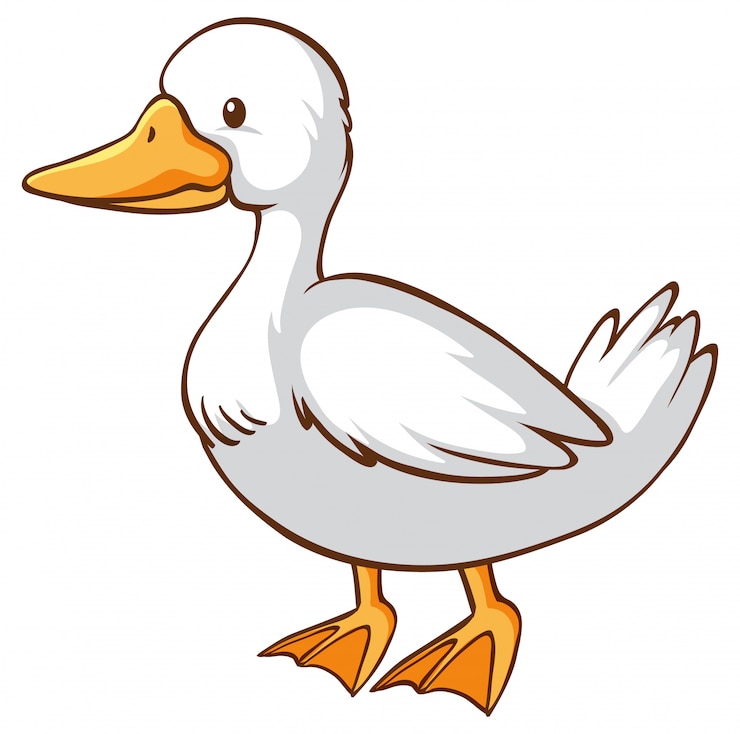 duck clipart