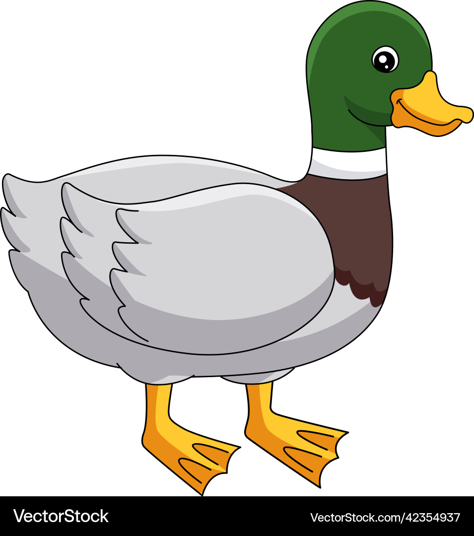 duck clipart