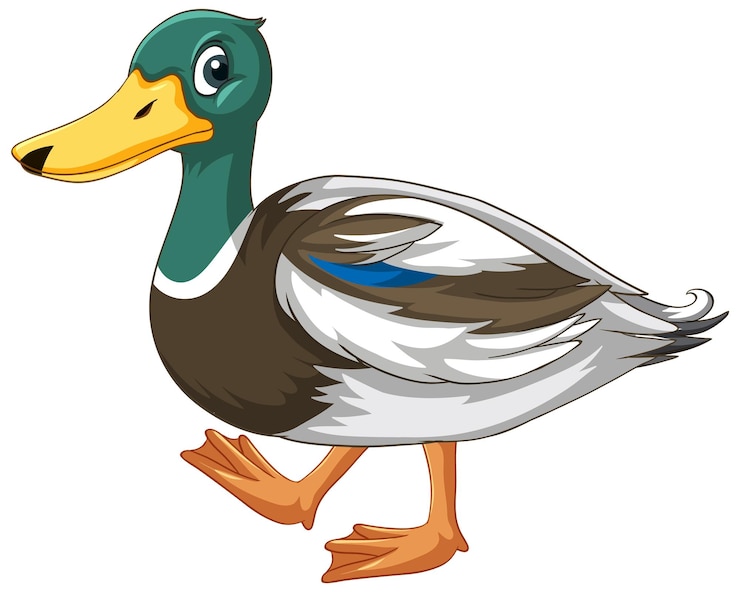 duck clipart