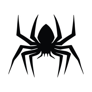 spider clipart