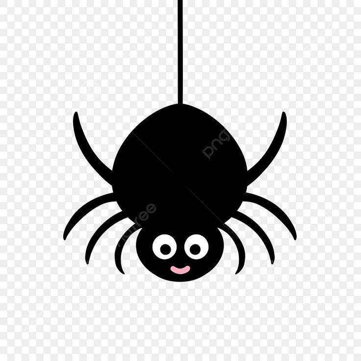 spider clipart