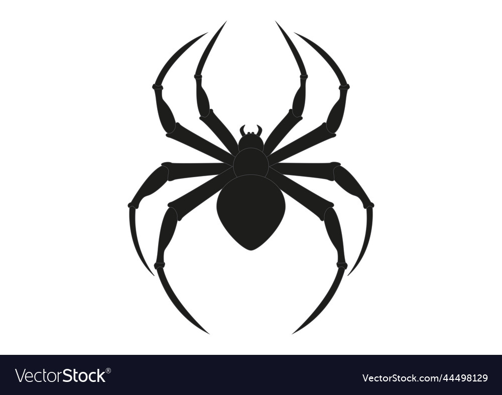 spider clipart