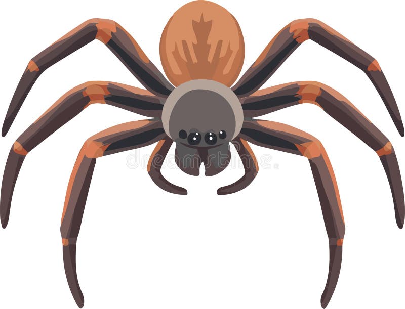 spider clipart