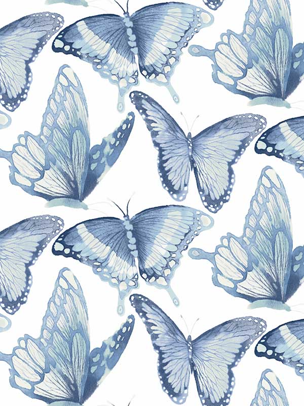 Cool and calm 2254 butterfly wallpaper wallpapers with 0 downloads and 0 views