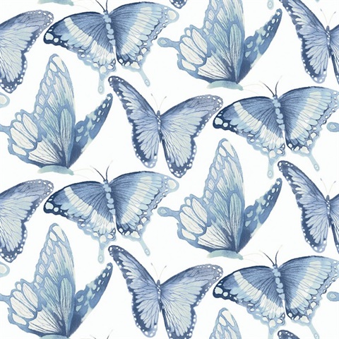 Rage of fire 2394 butterfly wallpaper wallpapers with 0 downloads and 0 views