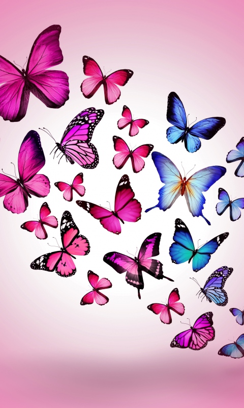 Good vibes radiating 2492 butterfly wallpaper wallpapers