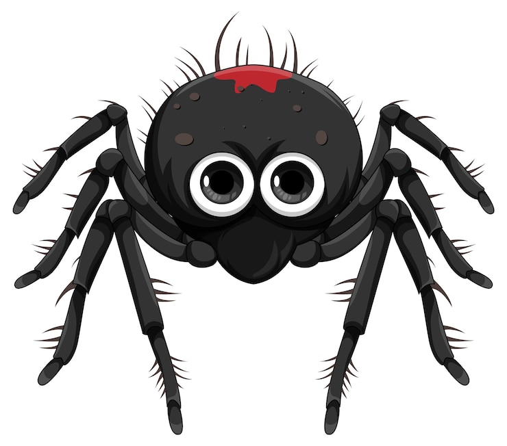 spider clipart